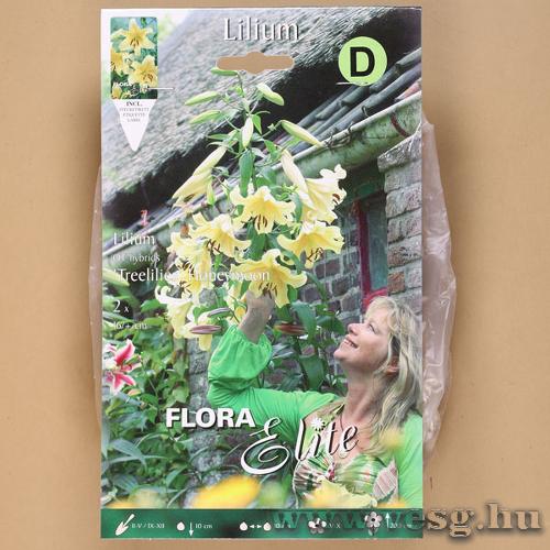 Liliomfa /Treelilies Honeymoon/ 2db