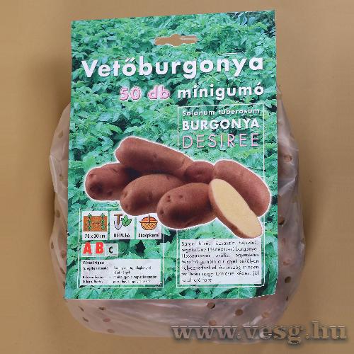 Vetburgonya Minigum - Desiree 50 szem