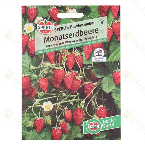 Erdei Szamóca 1 csomag