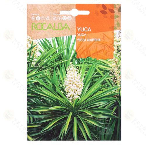 Yucca - P�lmaliliom 4 szem