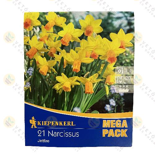 Nárcisz - Mega Pack - Jetfire 21 db