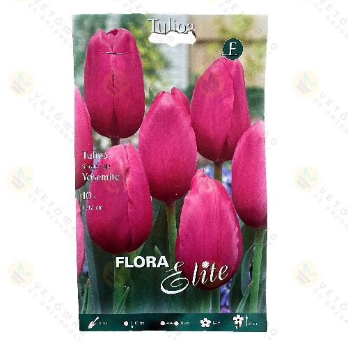 Tulip�n / Yosemite / 10db