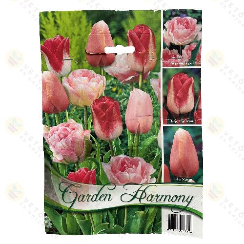 Tulip�n Kollekci� - Pink 3 x 5 db