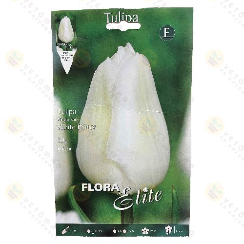 Tulip�n / White Prince / 10db