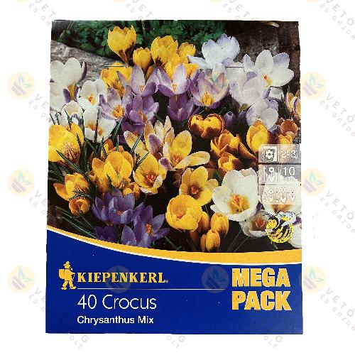 Kr�kusz - Mega Pack -  Botanikai Mix 40 db