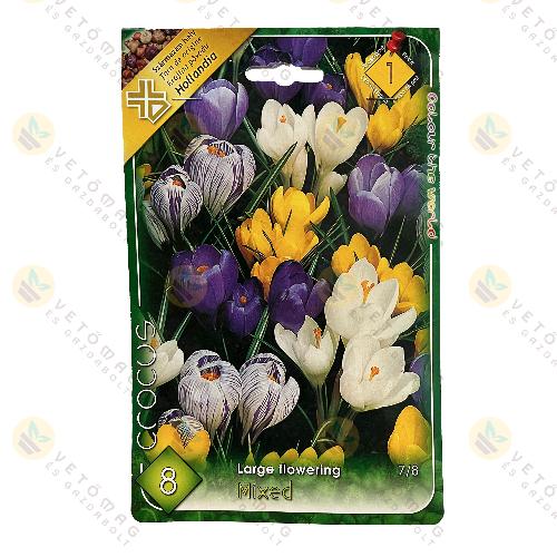 Kr�kusz - Nagyvir�g� - Sz�nkever�k 8 db