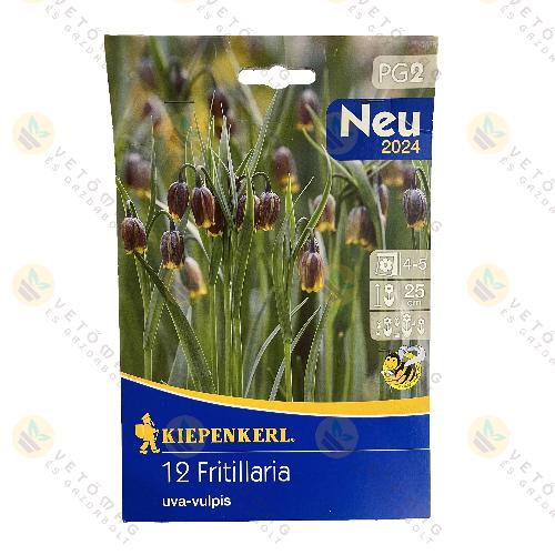 Assz�r Kock�sliliom 12 db