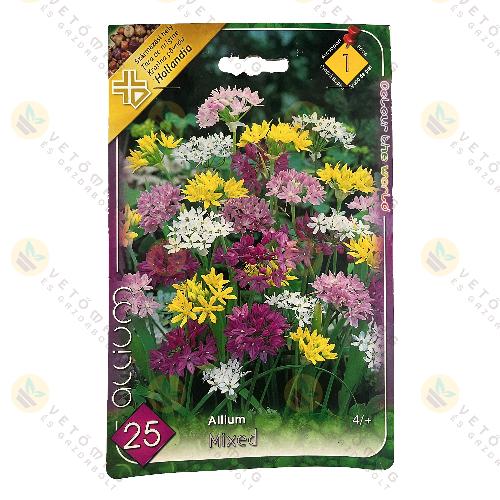 Díszhagyma - Színkeverék 25 db