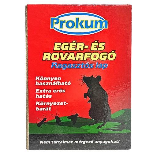 Eg�r �s Rovarfog� Ragaszt�s lap - Nagy - 1 db