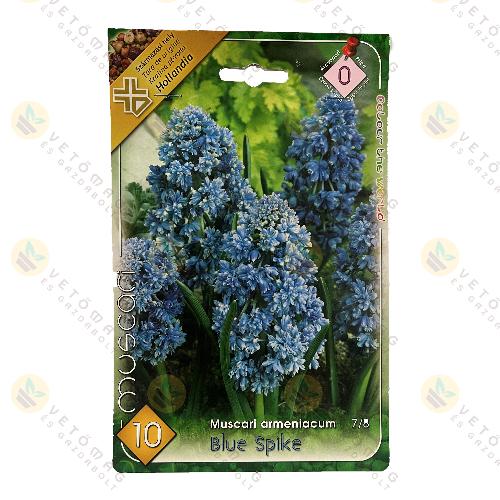 rmny Gyngyike - Blue Spike 10 db