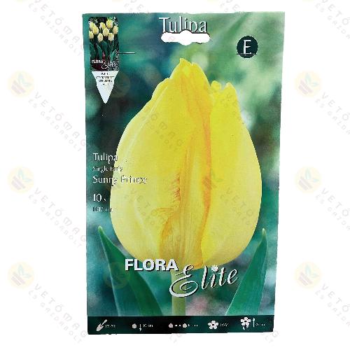Tulip�n / Sunny Prince / 10db