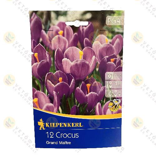 Kr�kusz / Grand Maitre / 12 db