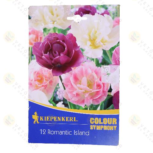 Tulipn - Mega Pack - Sweet Paradise 12 db