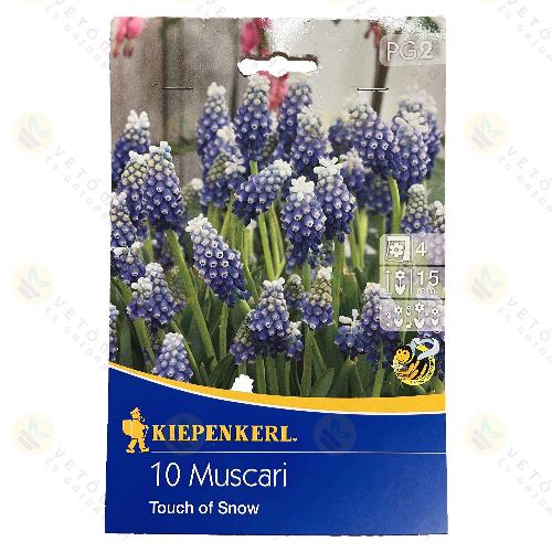 �rm�ny Gy�rgyike / Touch of Snow / 10db