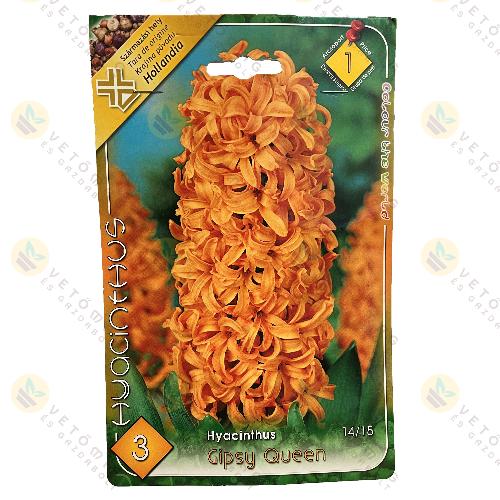 Jcint - Gipsy Queen 3 db