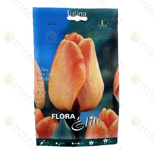 Tulip�n / Daydream / 10db