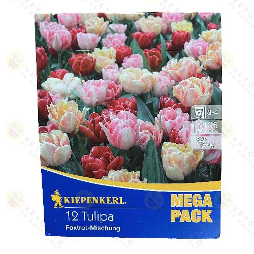Tulip�n - Mega Pack - Foxtrot Mix 12 db