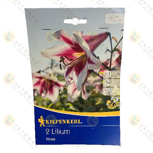 Liliom / Friso / 2 db