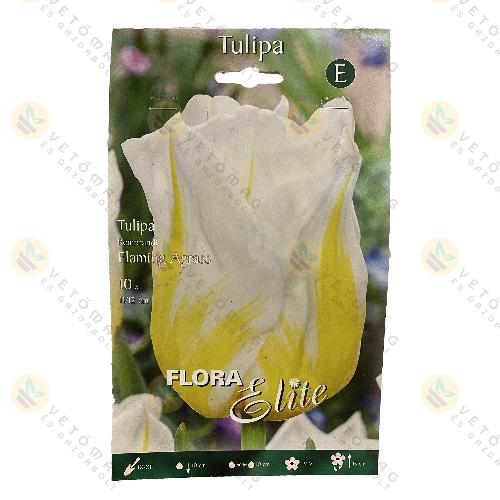 Tulip�n / Flaming Agrass / 10 db