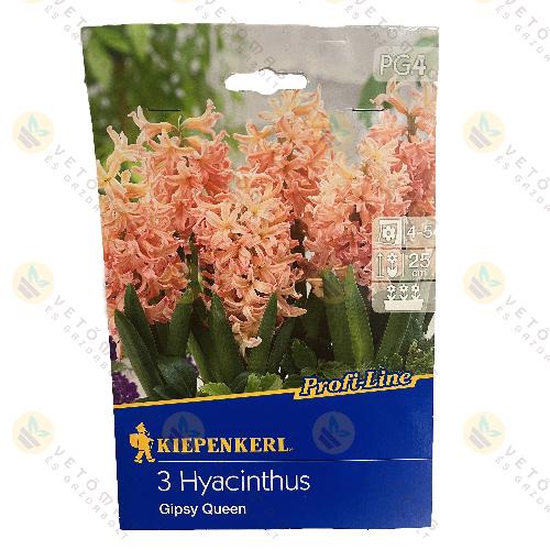 J�cint / Gipsy Queen / 3 db