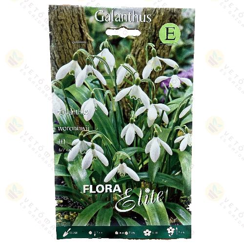 Hvirg / Woronowii / 10db