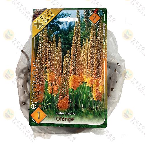 Korb�csliliom - Narancss�rga 1 db
