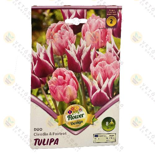 Tulip�n Duo - Claudia and Foxtrot  6 db