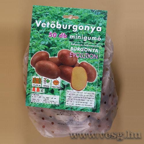 Vetburgonya Minigum - Evolution 50 szem