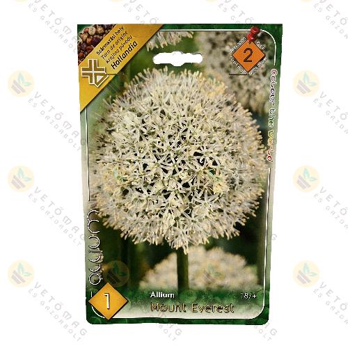 Díszhagyma - Mount Everest 1 db