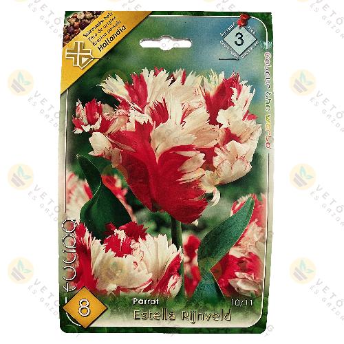 Tulip�n - Estella Rijnveld 7 db