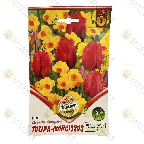 Tulip�n N�rcisz Duo - Cheerful Company 6 db