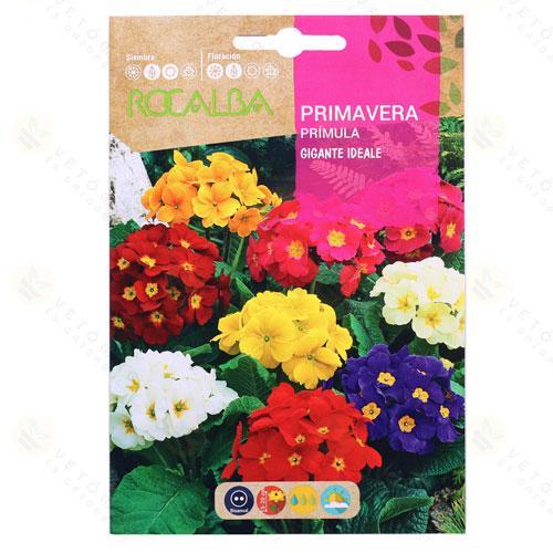 Primula - Kankalin 0,2 g