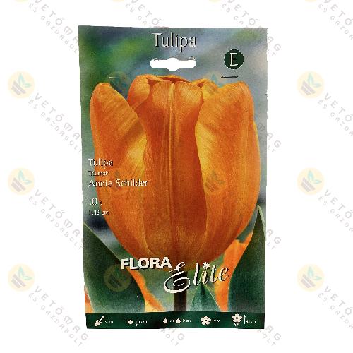 Tulipán / Annie Schilder / 10 db