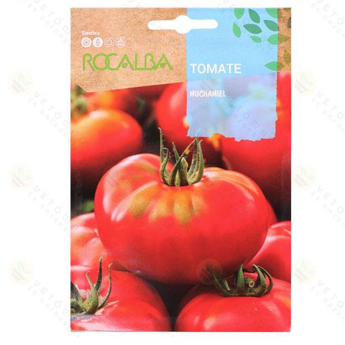 Paradicsom - Muchamiel 1 g