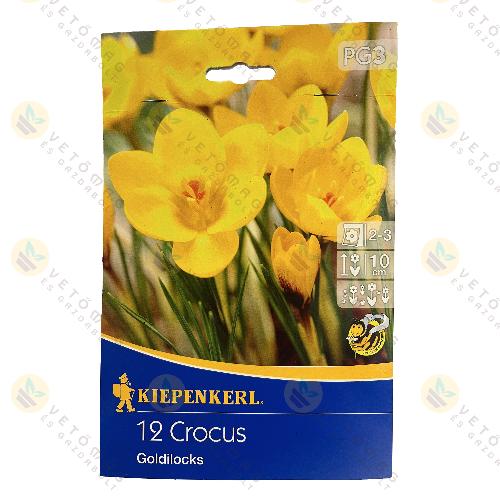 Kr�kusz / Goldilocks / 12 db