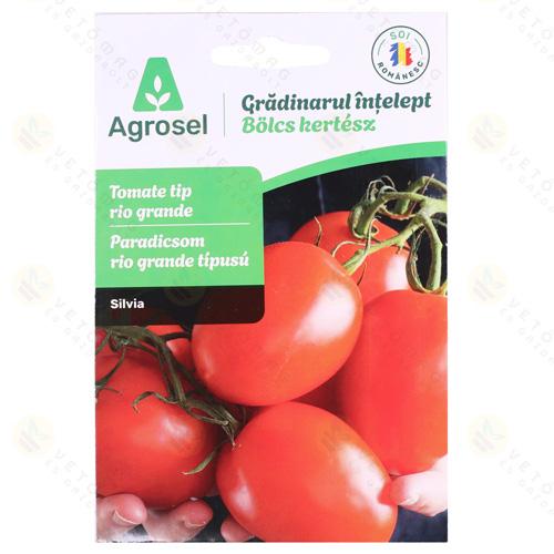 Paradicsom - Silvia 0,5 g