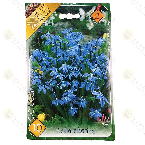 B�kol� Csillagvir�g 10db