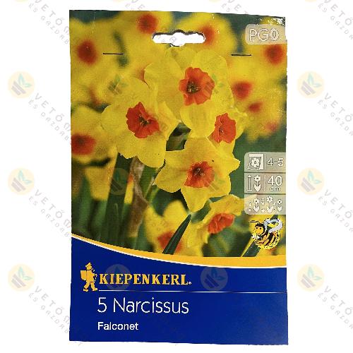 Nárcisz / Falconet / 5 db