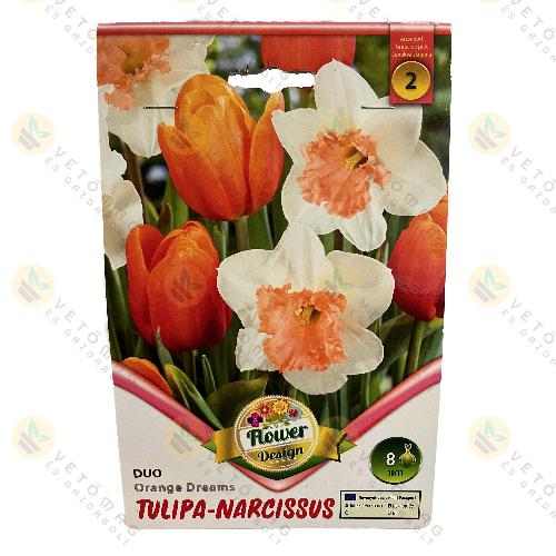 Tulip�n N�rcisz Duo - Orange Dreams 6 db
