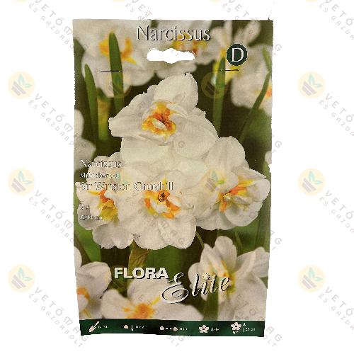 Nárcisz / Sir Winston Churchill / 5 db