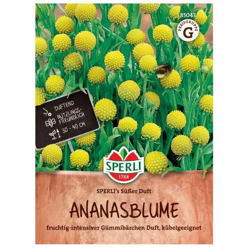 Anan�szvir�g - Gumicukorbokor 1 csomag