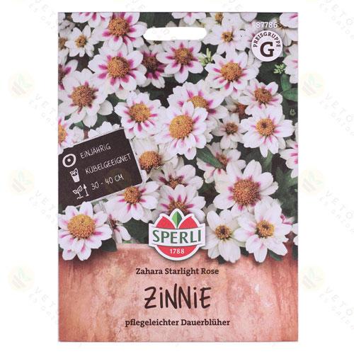 Rzvirg - Zahara Starlight Rose 1 csomag