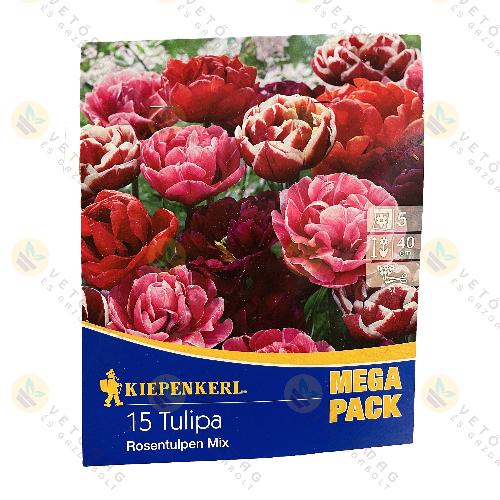 Tulip�n Kollekci� / Rosentulpen Mix / 15 db
