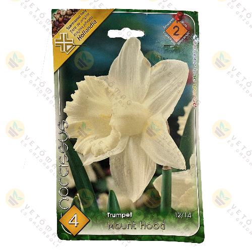 N�rcisz - Mount Hood 4 db