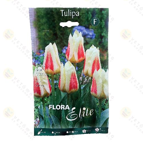 Tulipn / Diablo / 10db