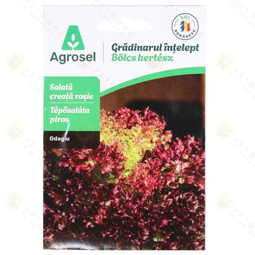 Saláta - Odagiu 1,5 g