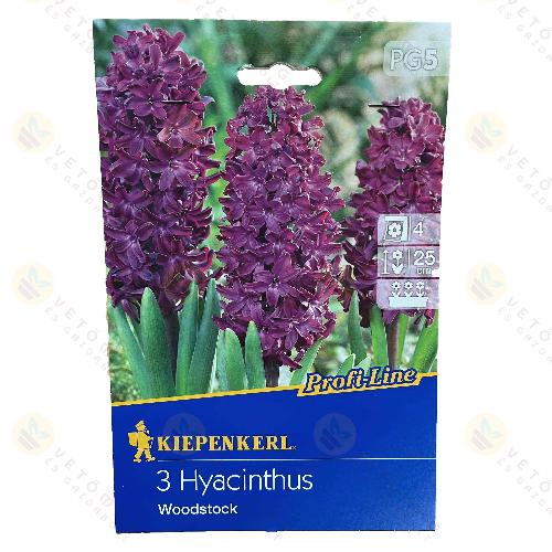 J�cint / Woodstock / 3db