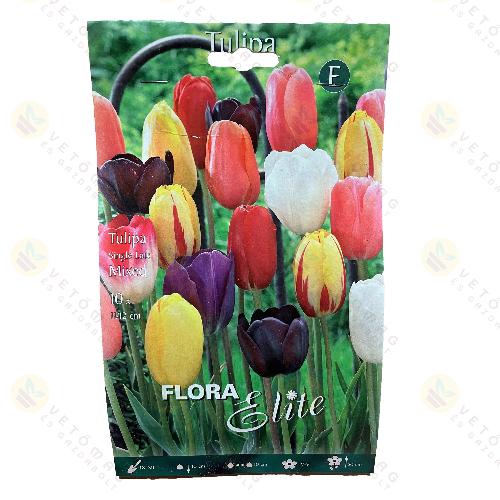Tulip�n K�s�i - Egyszer� Vir�g� / Sz�nkever�k / 10db