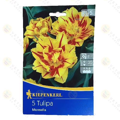 Tulip�n / Monsella / 5db
