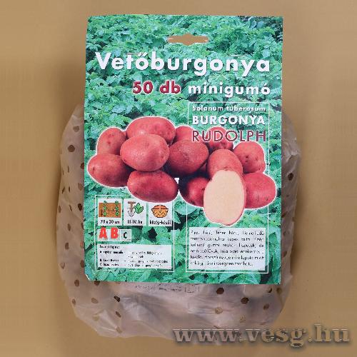 Vetburgonya Minigum - Rudolph 50 szem
